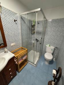 a bathroom with a shower and a toilet and a sink at Ruta del vino 1 in Tordesillas
