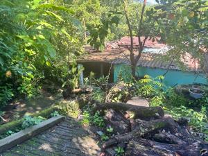 Taman di luar Mi Casita en Sivar