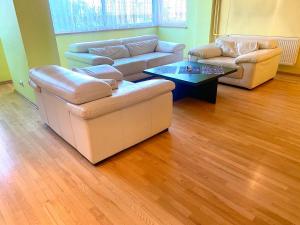 Χώρος καθιστικού στο Big apartment for 2 +6 φωτογραφίες