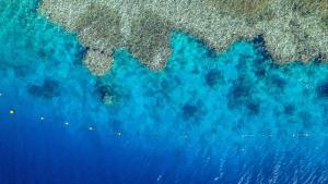 an aerial view of the earth and the ocean at Grand Oasis Resort in Sharm El Sheikh +103 photos