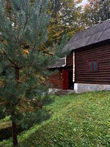 a log cabin with a tree in front of it at Дім-Садиба Озерел in Krasna
