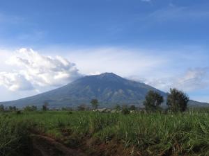 einen Berg in der Ferne mit einem Grasfeld in der Unterkunft Villa Fiore in Klampok