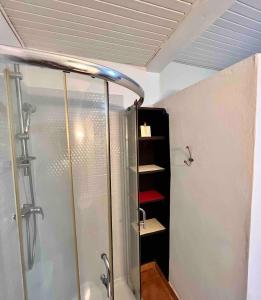 a shower in a bathroom with a glass shower stall at Charmant T3 en RDJ chez Ketty à Ducos in Ducos
