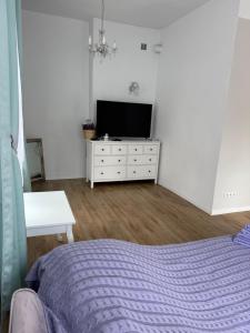 Μια τηλεόραση ή/και κέντρο ψυχαγωγίας στο Apartament Lawendówka