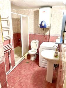 a bathroom with a toilet and a shower and a sink at Şehrin merkezinde evinizde hissedeceğiniz oda in Konak