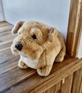 Gallery image of Samui Tiny House villa Glamping, Seaview sleeps 8 in Koh Samui