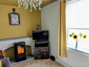 a living room with a fireplace and a television at 7 dodds lane alnwick in Alnwick