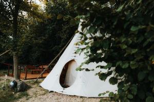 a white tent sitting next to a tree at Teepee Svištící šíp 