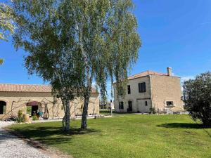 a tree in a yard next to a building at Chambres au cœur des vignes in Saint-Christoly-Médoc