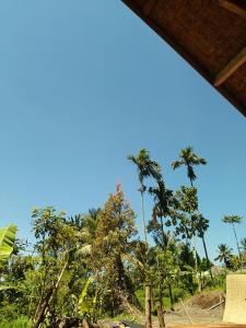 a view of palm trees and a blue sky at Tetebatu River Side BUNGALOWs in Tetebatu