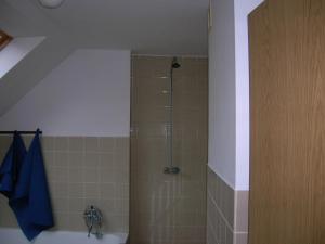 a shower stall in a bathroom with a toilet at Apartmán Trans Žamberk in Golčŭv Jeníkov
