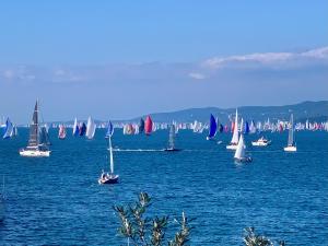 a group of sailboats on a large body of water at Five Flowers Guest House in Trieste