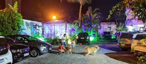 a group of children walking two dogs in a parking lot at Hotel Iracemar - Econômico in Guarujá