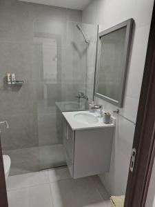a bathroom with a shower and a sink and a mirror at Arévalo - D2 in Cipolletti