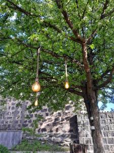 two lights hanging from a tree in front of a building at Огород in Atʼarbekyan +2 photos
