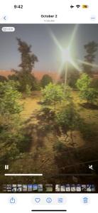 a view of a tree from a train window at Arabian luxury Farmhouse Oasis Private & Cozy 
