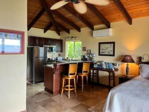 a kitchen with a bar with a sink and a refrigerator at Frigates View in Christiansted +17 photos