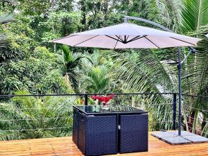 Aed väljaspool majutusasutust Private Pool- AC-Fiber Optiics-Jungle Oasis