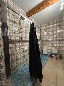 a bathroom with a shower and a toilet at Domaine Les Salices in Azille +32 photos