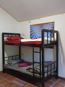 a group of bunk beds in a room at Soundgarden Kohrong Dorm in Koh Rong