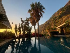 a swimming pool with palm trees and a mountain at Suite Bela Vigia 3 in Jardim do Mar