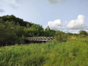 a bridge over a river in a field at 7 person holiday home in Ansager-By Traum in Ansager +18 photos