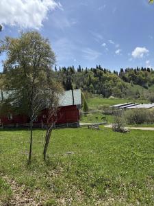 Příroda nedaleko prázdninového domu + 11 fotografií