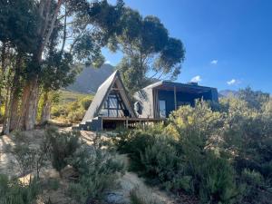 a house in the middle of a forest with trees at Coddiwomple Cabins in Tulbagh