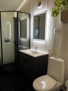 a bathroom with a toilet and a sink and a mirror at Chalet with amazing fjord view in Lingåsen in Valldal
