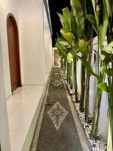 a hallway with a row of potted plants at Casa Feliz Guest House in Bangli
