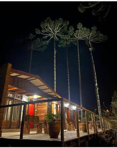 a cabin with palm trees in the background at night at Recanto Bellagio in Campos do Jordão