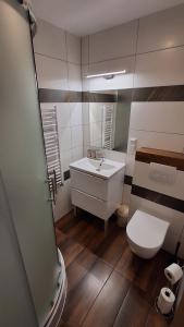 a bathroom with a white sink and a toilet at Sosnowy Zakątek Piwniczna in Piwniczna