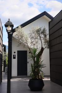 Fotografie z fotogalerie ubytování Muraga Villas v destinaci Tirana + 15 fotografií