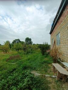 Zahrada ubytování Zaur's Relaxing House in Qusar
