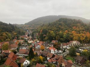 Příroda nedaleko apartmánu