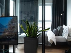 a living room with a couch and a potted plant at Apartamenty 3 Maja in Płock