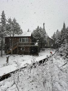 Afbeelding uit fotogalerij van Boardwalk Pines at Tobermory in Tobermory