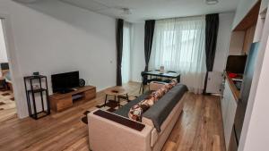 ein Wohnzimmer mit Sofa und Fernseher in der Unterkunft Arini Urban Residence in Şelimbăr