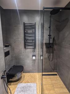 a shower with a toilet and a glass door at Apartament Bella Antonia z podziemnym parkingiem in Kielce +35 photos