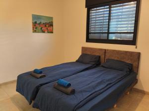 a bedroom with a bed with blue sheets and a window at אורן בשדה in Sede Ilan