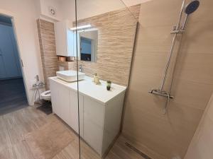 Un baño con ducha, lavabo e inodoro. en Short Stay Urban, en Baia Mare 56 fotos más