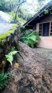 Un jardín fuera de Berto's House HOSTEL