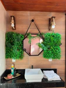 a bathroom with a sink and a mirror on a wall at Chalé Adventure - Serra de São Bento RN in Serra de São Bento +42 photos