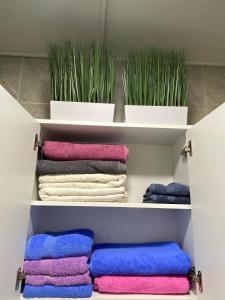 Φωτογραφία από το άλμπουμ του Apartman KEJ Smederevo στο Σμεντέρεβο