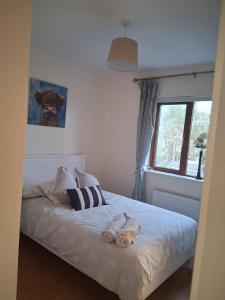 Φωτογραφία από το άλμπουμ του Haven Dungarvan σε Dungarvan