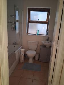 a bathroom with a toilet and a sink and a window at Haven Dungarvan in Dungarvan