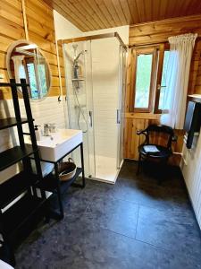 a bathroom with a shower and a sink at Chalet du Grand Arbre in Le Ménil +43 photos