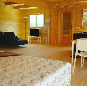 a living room with a bed and a couch and a television at Las Casas de Durón in Durón