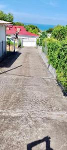 ヴュー・アビタンにあるNid Créoleの道路上の信号の影