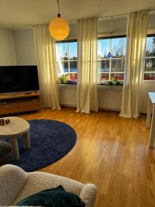 a living room with a couch and a tv at Företags- eller semesterboende Sjöutsikten in Gällivare